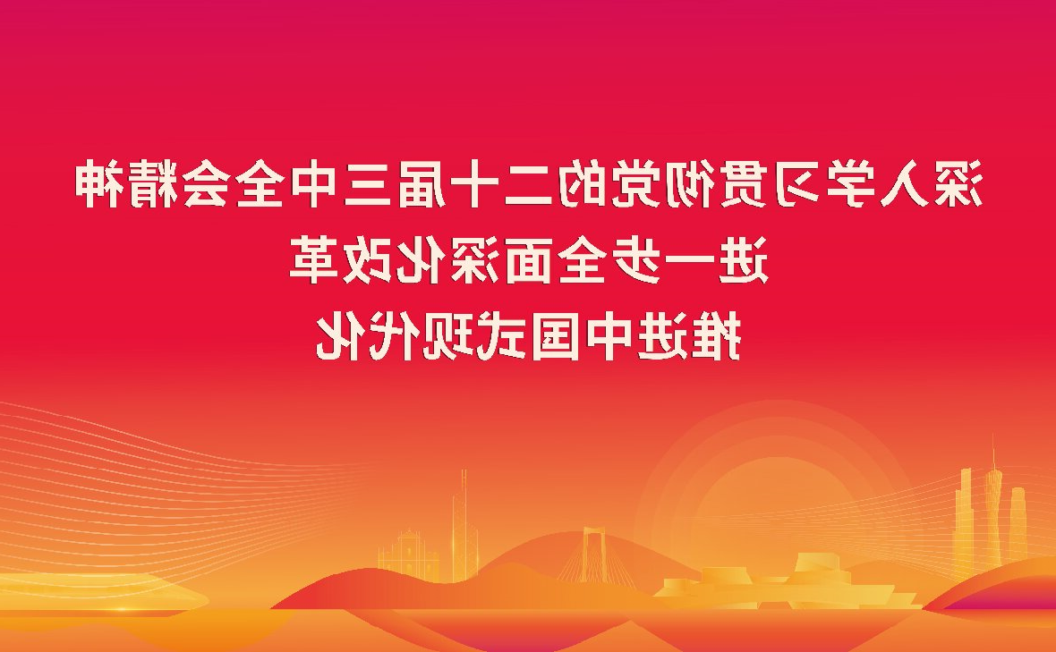 学习宣传贯彻党的二十届三中全会精神